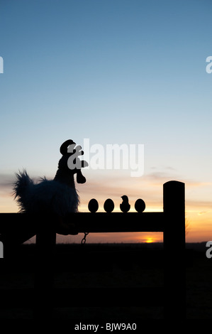 Soft toy Chicken with eggs and chick on a gate at sunrise. Silhouette Stock Photo