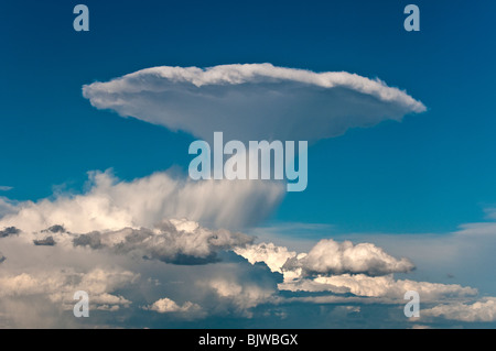 Distant thunder cloud (Cumulonimbus incus) erupting in the sky near Siena, Tuscany, Italy Stock Photo