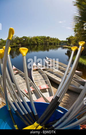 Canoes though canoe paddles at Snook Haven fish camp on the Myakka River in Venice Florida Stock Photo