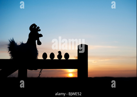 Soft toy Chicken with eggs and chick on a gate at sunrise. Silhouette Stock Photo