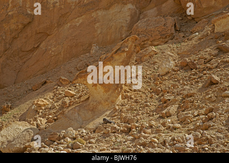 Machtesh Katan Negev Israel Stock Photo