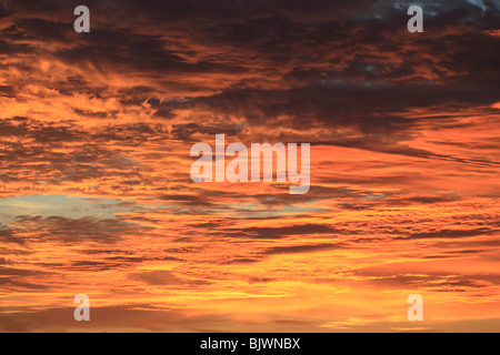 Red light from the sunset reflects on the African Sky Stock Photo