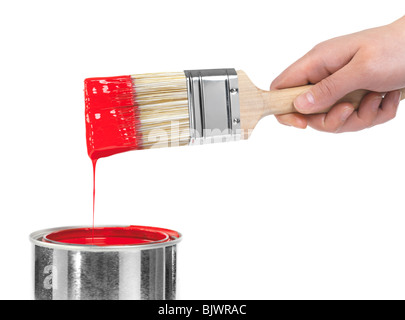 Person holding a paintbrush dipped in red paint isolated on white background Stock Photo