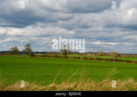 The Suffolk Countryside On A Cloudy Day Seen from the A1120 near Earl Soham Suffolk Stock Photo