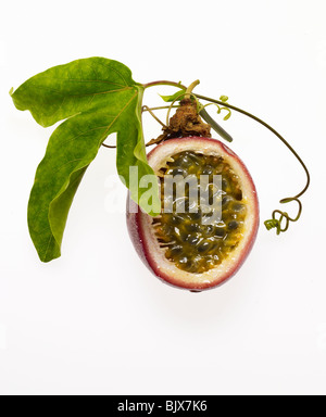 passion fruit Stock Photo