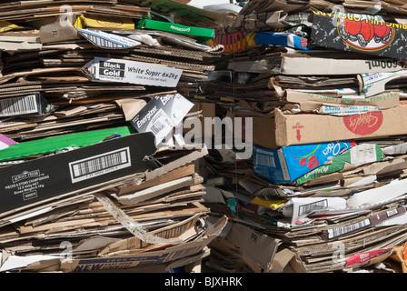 Stacks of cardboard boxes compressed for recycling Stock Photo