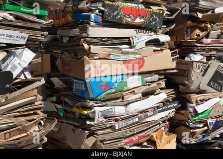 Stacks of cardboard boxes compressed ready for recycling Stock Photo