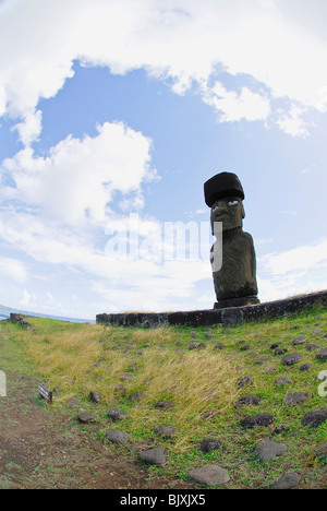 Moai statue in Easter Island, Chile Stock Photo