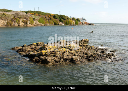 Bull Bay Anglesey North Wales UK Stock Photo