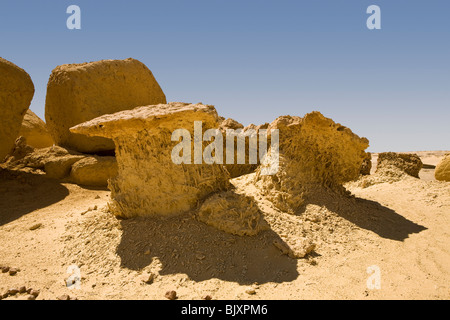 Fossilised mangrove tree roots in the Valley of The Whales, Wadi El-Hitan, Western Desert of Egypt Stock Photo