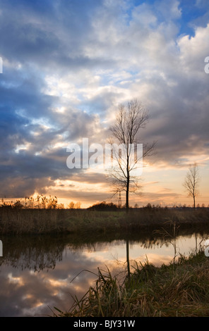 Late evening view of Chelmer & Blackwater canal, Essex Stock Photo