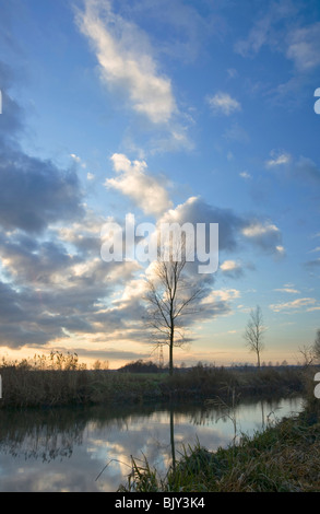 Late evening view of Chelmer & Blackwater canal, Essex Stock Photo