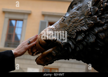 Rubbing the snout of Il Porcellino, the bronze wild boar copied from the Roman marble statue, that can be seen in the Uffizi. .. Stock Photo