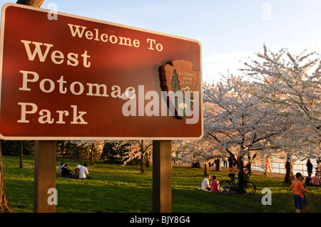 People enjoying the Spring weather and the Cherry blossoms of  West Potomac Park in Washington DC Stock Photo