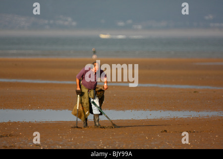 Man Using a Metal Detector on a Sandy Beach Stock Photo
