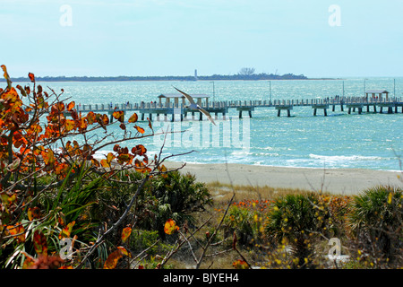 Fort DeSoto State Park near St Petersburg in Florida in the USA Stock Photo