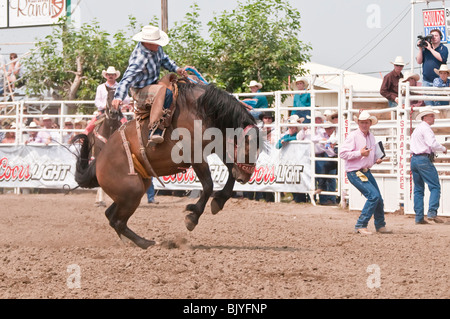 Cowboy, saddle bronc riding, Strathmore Heritage Days, Rodeo, Strathmore, Alberta, Canada Stock Photo