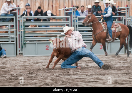 Cowboy, calf roping, T'suu Tina rodeo, Bragg Creek, Alberta, Canada Stock Photo
