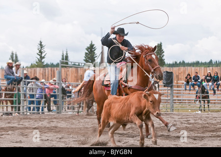Calf roping at the T'suu Tina rodeo, Bragg Creek, Alberta, Canada Stock Photo