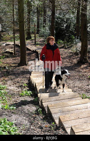 Woman walking dog on wooden steps for walkers in Coalbrookdale Shropshire woodlands uk Stock Photo