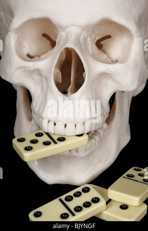 The skull clutched in his teeth dominoes isolated on a black background Stock Photo