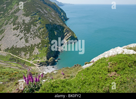 Looking down into Heddons Mouth on Devons North coast Stock Photo