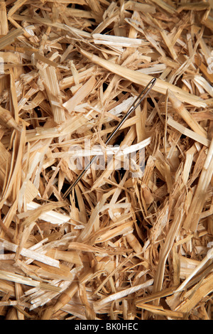 Needle in straw or hay stack Stock Photo