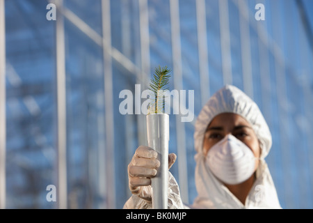 Scientist in clean suit holding tree seedling Stock Photo