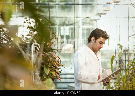 Middle Eastern scientist working in greenhouse Stock Photo