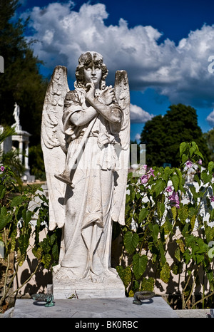 Angel in Cemetery. Havana, Cuba Stock Photo
