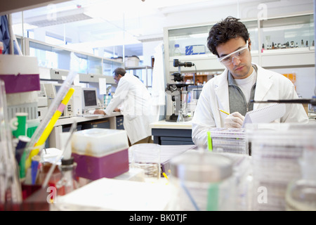 Middle Eastern scientist working in laboratory Stock Photo