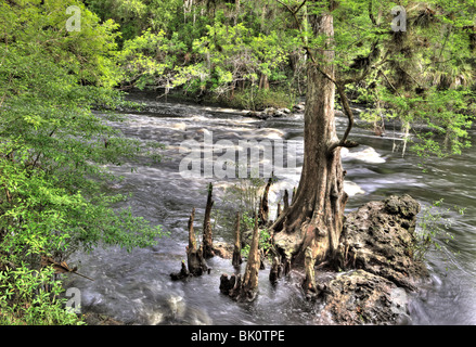 Rapids, Hillsborough River State Park, Florida Stock Photo