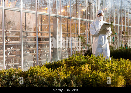 Scientist in clean suit working in greenhouse Stock Photo