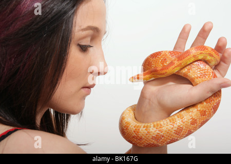 A Woman looking at a corn snake held in her hand Stock Photo