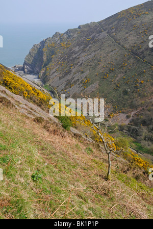 Looking down into Heddon's Mouth on the edge of Exmoor in North Devon Stock Photo