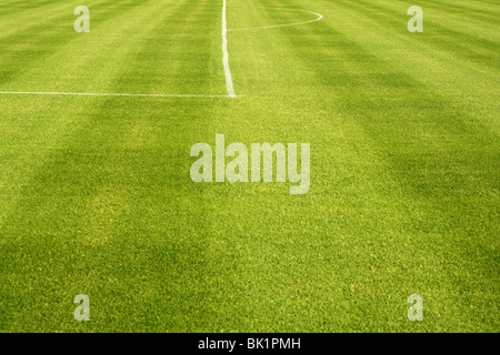 Area white lines on football green grass field Stock Photo