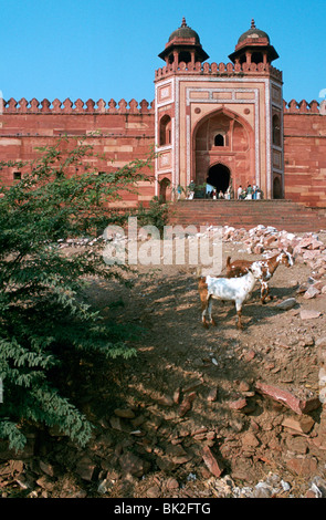 Buland Darwaza, Fatehpur Sikri, Agra, Uttar Pradesh, India. Stock Photo