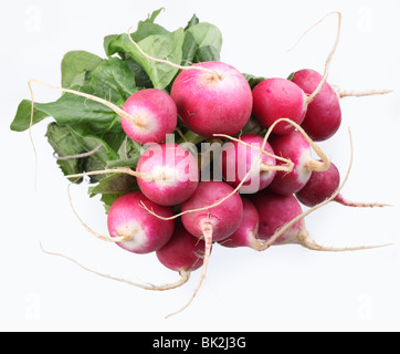 bunch of radishes on a white background Stock Photo