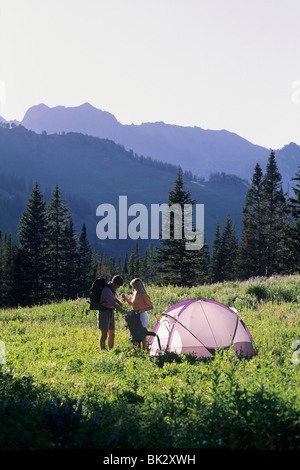 Couple camping in a field of wildflowers, Albion Basin, Little Cottonwood Canyon, Wasatch Mountains, Utah. Stock Photo