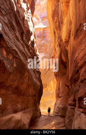 Hiker in the Navajo Sandstone narrows of Buckskin Gulch in the Paria Canyons - Vermilion Cliffs Wilderness Area, Utah. Stock Photo