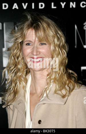 LAURA DERN INLAND EMPIRE FILM PREMIERE LOS ANGELES USA 09 December 2006 Stock Photo