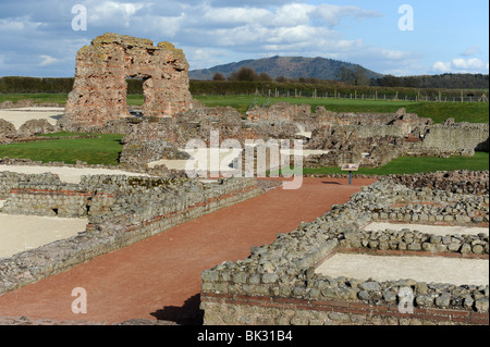 Remains of Roman city of Viroconium Cornoviorum at Wroxeter near Shrewsbury in Shropshire Uk Stock Photo