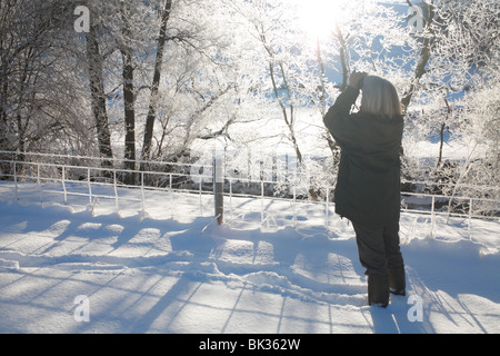 Woman using binoculars watching birds in ice-covered trees after a heavy fall of snow. Powys, Wales. Stock Photo