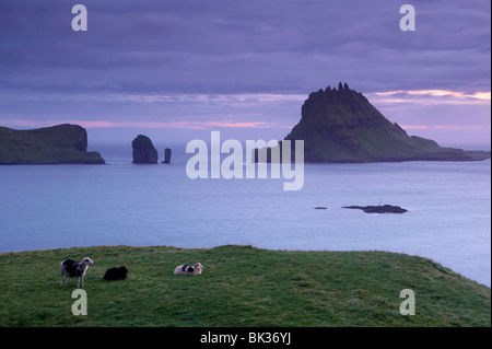 Tindholmur Island rising to 262 m, and Drangarnir natural arch at sunset, with sheep, from Vagar, Faroe Islands Stock Photo