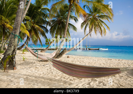 Hammocks hanging between palm trees, Kuanidup Grande, Comarca de Kuna Yala, San Blas Islands, Panama, Central America Stock Photo