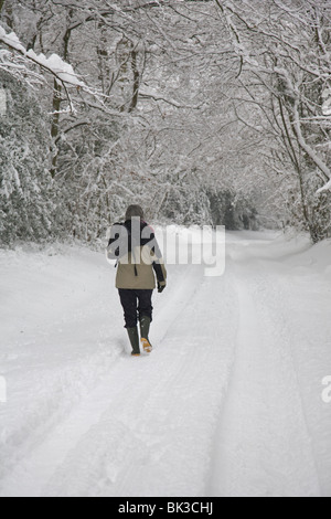 A woman walks along a snow covered country lane, Haslemere, Surrey, England. Stock Photo
