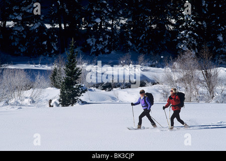 A man and woman snowshoe in a field of snow in the Wasatch Mountains of northern Utah. Stock Photo