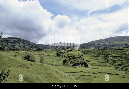 Terraced rice fields, Kathmandu Valley, Nepal Stock Photo