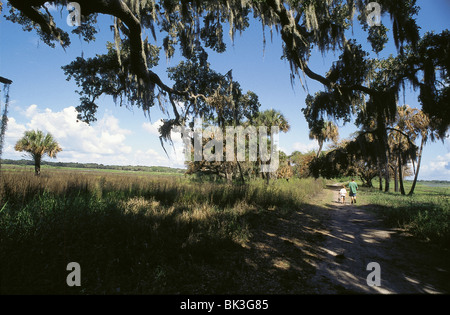 Children walking on a trail while carrying fishing equipment in Myakka River State Park, Sarasota County, Florida Stock Photo