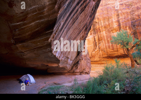 Camping in Willow Gulch, Escalante Canyons, Glen Canyon National Recreation Area, Utah. Stock Photo